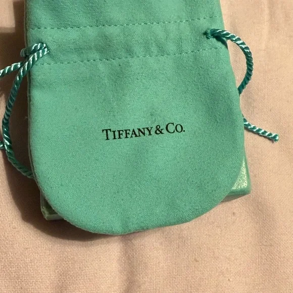 Tiffany & Co. Aqua Jewelry Pouch - Picture 2 of 3